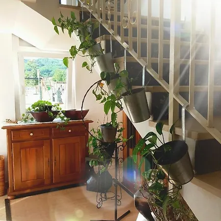 Caffe Sport 3* Volpago del Montello